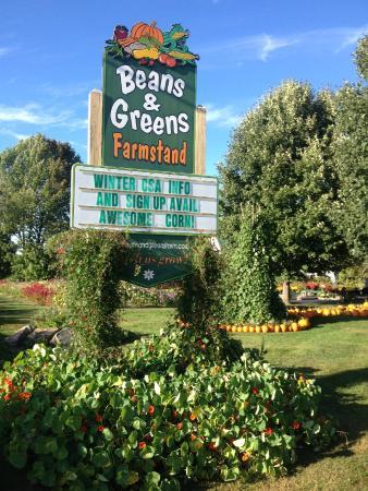 Beans & Greens Farm